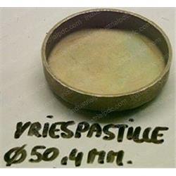 Picture of Plug - Expansion