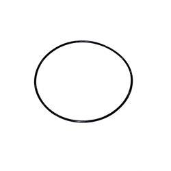 Picture of O-Ring