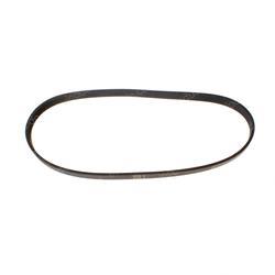 Picture of Belt - Ribbed