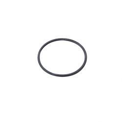Picture of O-Ring
