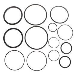 Picture of Seal Kit - Actuator Assembly