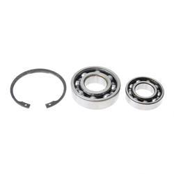 Picture of Bearing Kit