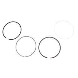 Picture of Piston Ring Assembly