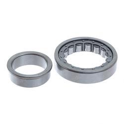 Picture of Bearing