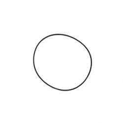 Picture of O-Ring - Carrier