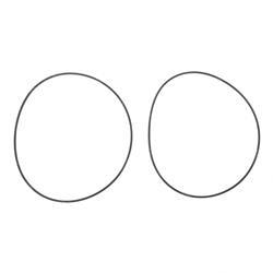 Picture of O-Ring