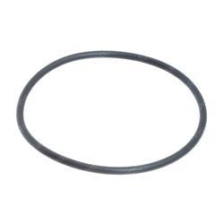 Picture of O-Ring