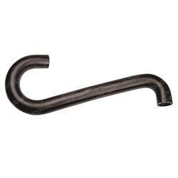 Picture of Hose - Radiator Lower