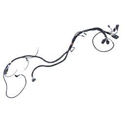 Picture of Harness