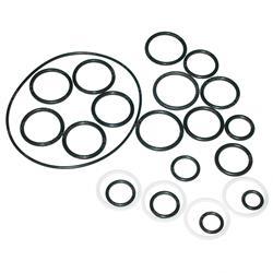 Picture of Seal Kit -  Cylinder Overhaul