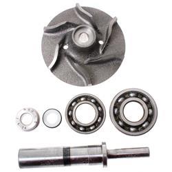 Picture of Pump Kit - Water