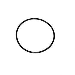 Picture of O-Ring