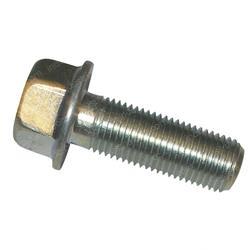 Picture of Bolt