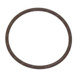 Picture of O-Ring