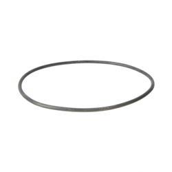 Picture of O-Ring