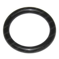 Picture of O-Ring