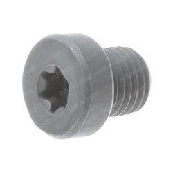 Picture of Plug Threaded