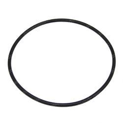 Picture of Seal