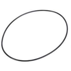 Picture of O-Ring