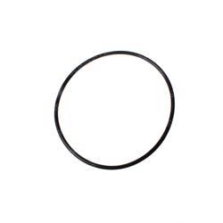 Picture of O-Ring