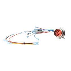 Picture of Elect Harness Cntrlbx Dm