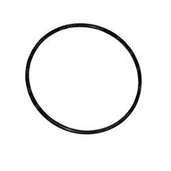 Picture of O-Ring