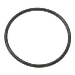 Picture of O-Ring