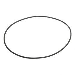 Picture of O-Ring