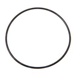 Picture of O-Ring