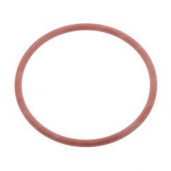Picture of O-Ring