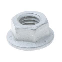 Picture of Nut