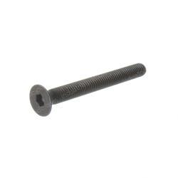 Picture of Screw Countersunk