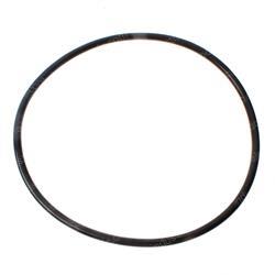 Picture of O-Ring