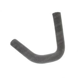Picture of Radiator Hose - Lower