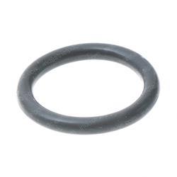 Picture of O-Ring