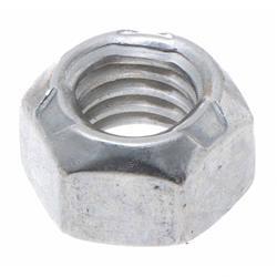 Picture of Nut