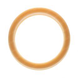 Picture of Seal