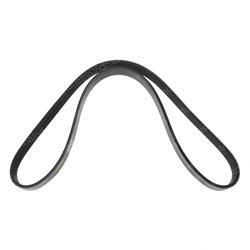 Picture of Belt - Serpentine