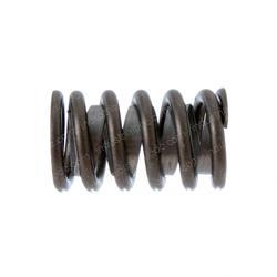 Picture of Spring - Valve - With Damper