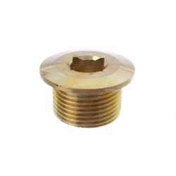 Picture of Plug - Threaded