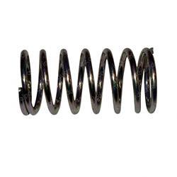 Picture of Spring Diaphrag