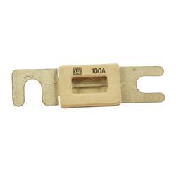 Picture of Fuse 100a