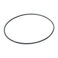 Picture of O-Ring