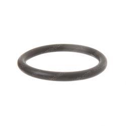 Picture of O-Ring