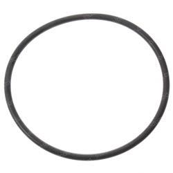 Picture of O-Ring - Filter to Tank
