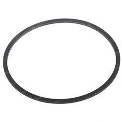 Picture of Seal