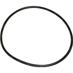 Picture of O-Ring