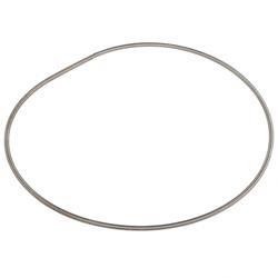 Picture of Dust Shield Spring