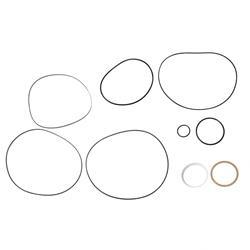 Picture of Seal Kit - Hydraulic Motor