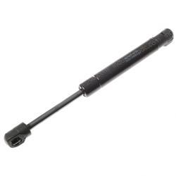 Picture of Strut - Gas